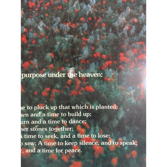 Ecclesiastes 3:1 To Everything There is a Season Vtg 1970s Book Club Poster - Picture 6 of 12